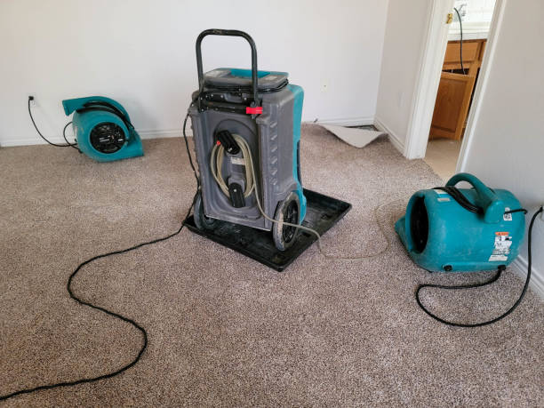 Best Water damage contractors near me  in Hillsville, VA