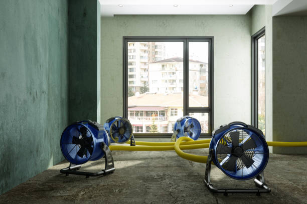 Reliable Hillsville, VA Water damage restoration Solutions