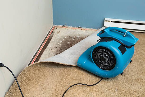 Water damage restoration insurance claims in Hillsville, VA